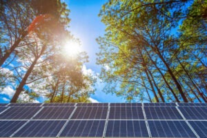 OFF-GRID or ON-GRID?