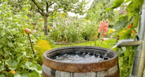 How to manage water sustainably?